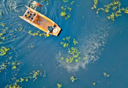 魚蝦共養致富有方
